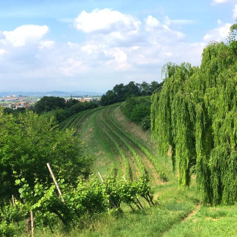 Il Convento Di Villa San Fermo ロニーゴ エクステリア 写真